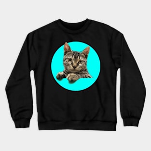 funny cat, cats lover Crewneck Sweatshirt